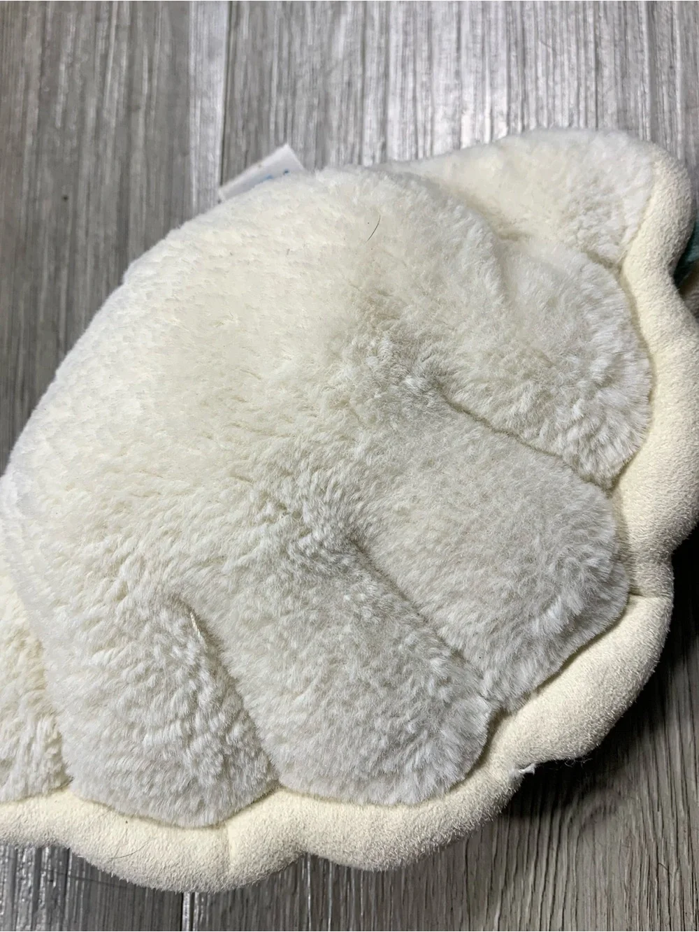 Jellycat chloe clam